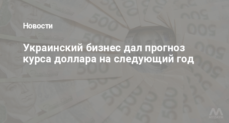Украинский бизнес дал прогноз курса доллара на следующий год