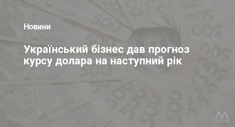 Український бізнес дав прогноз курсу долара на наступний рік