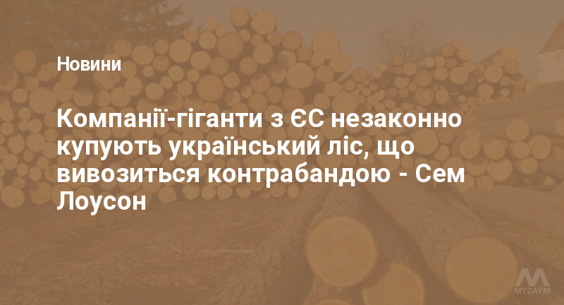 Компанії-гіганти з ЄС незаконно купують український ліс, що вивозиться контрабандою - Сем Лоусон