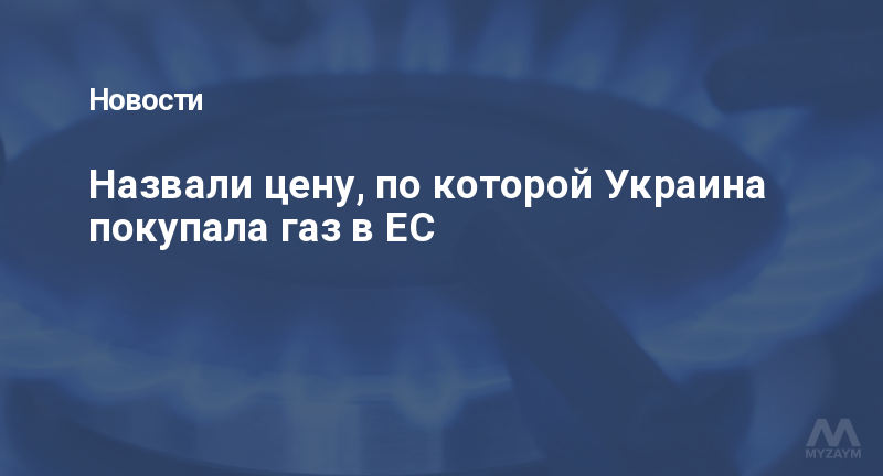 Назвали цену, по которой Украина покупала газ в ЕС