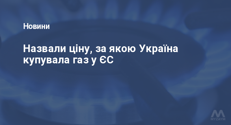 Назвали ціну, за якою Україна купувала газ у ЄС