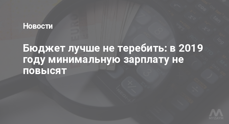 Бюджет лучше не теребить: в 2019 году минимальную зарплату не повысят