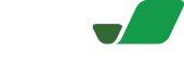 Платиза